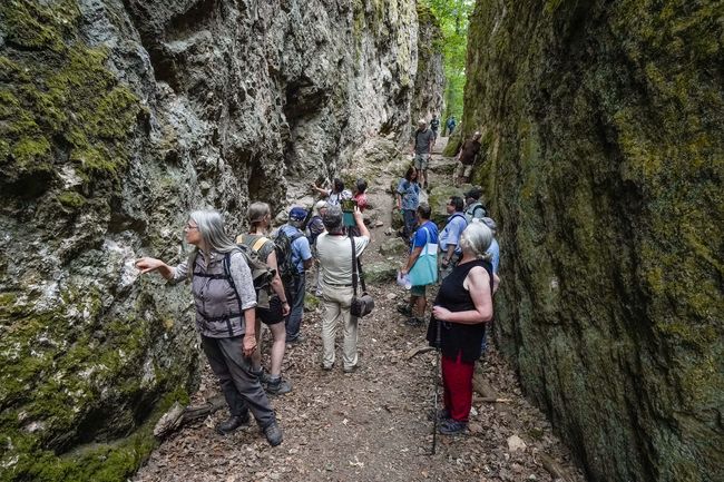 In der Spatschlucht